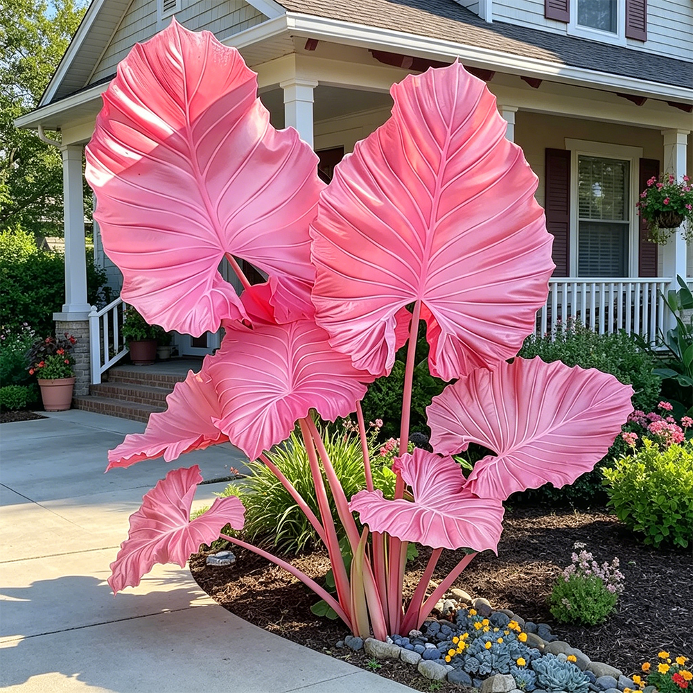 Giant Caladium Plant Seeds – The Color Wizard for Your Dream Garden | Pack of 500 Seeds
