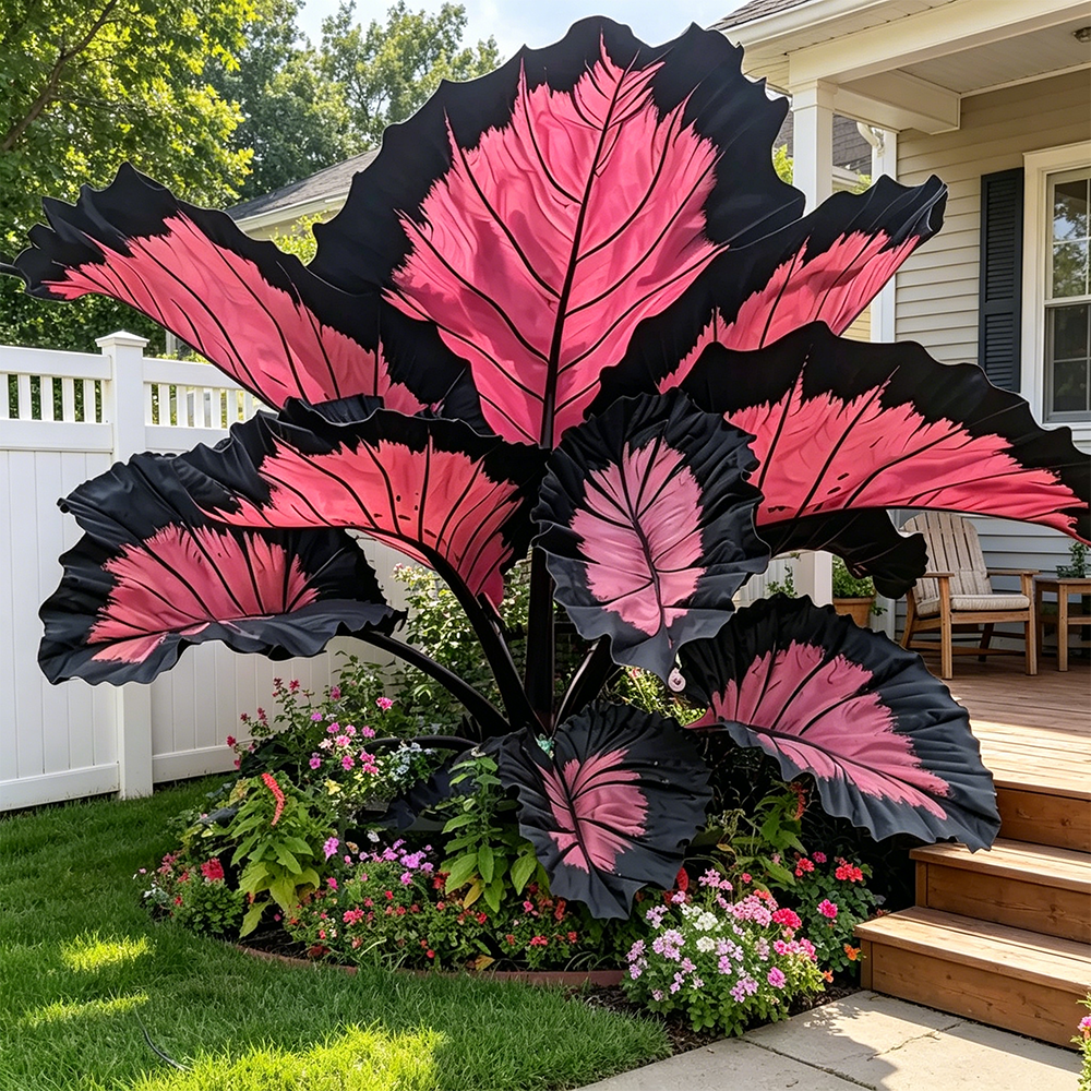 Giant Caladium Plant Seeds – The Color Wizard for Your Dream Garden | Pack of 500 Seeds