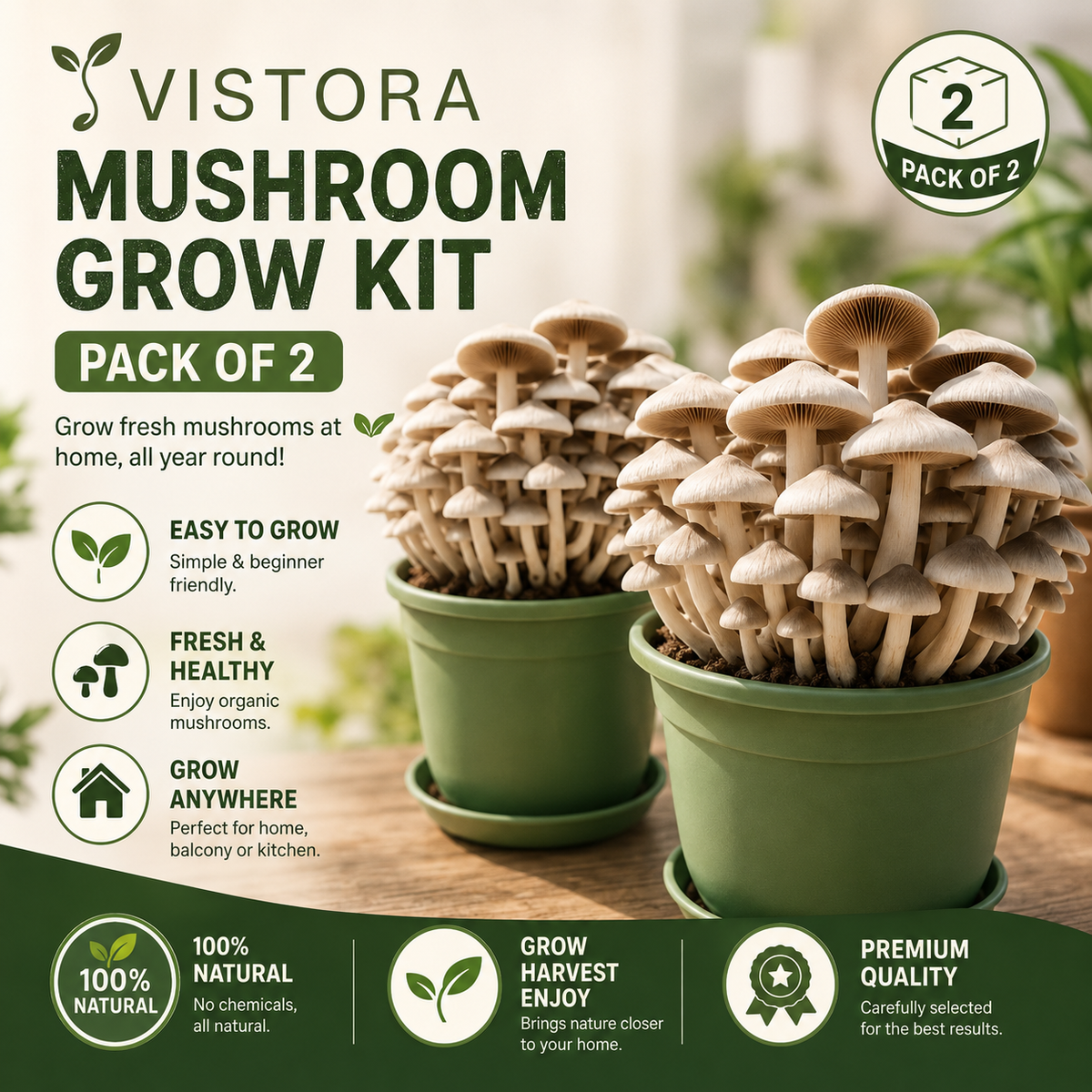 Premium Organic Mushroom Harvest Grow Kit Seeds – Pack of 500