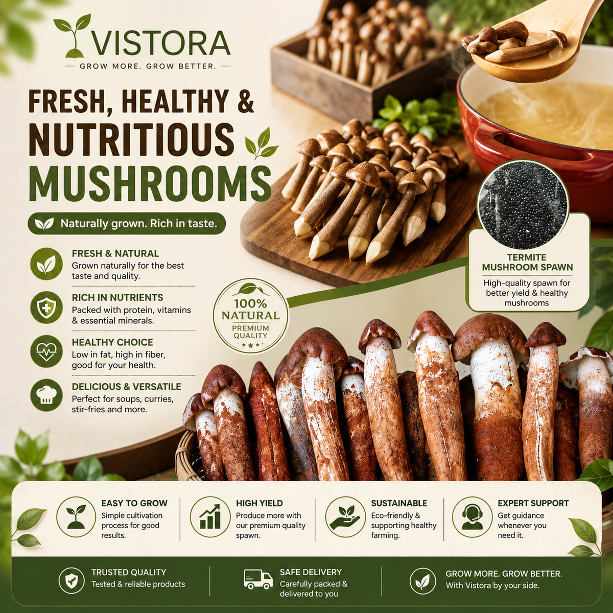 Premium Organic Mushroom Harvest Grow Kit Seeds – Pack of 500