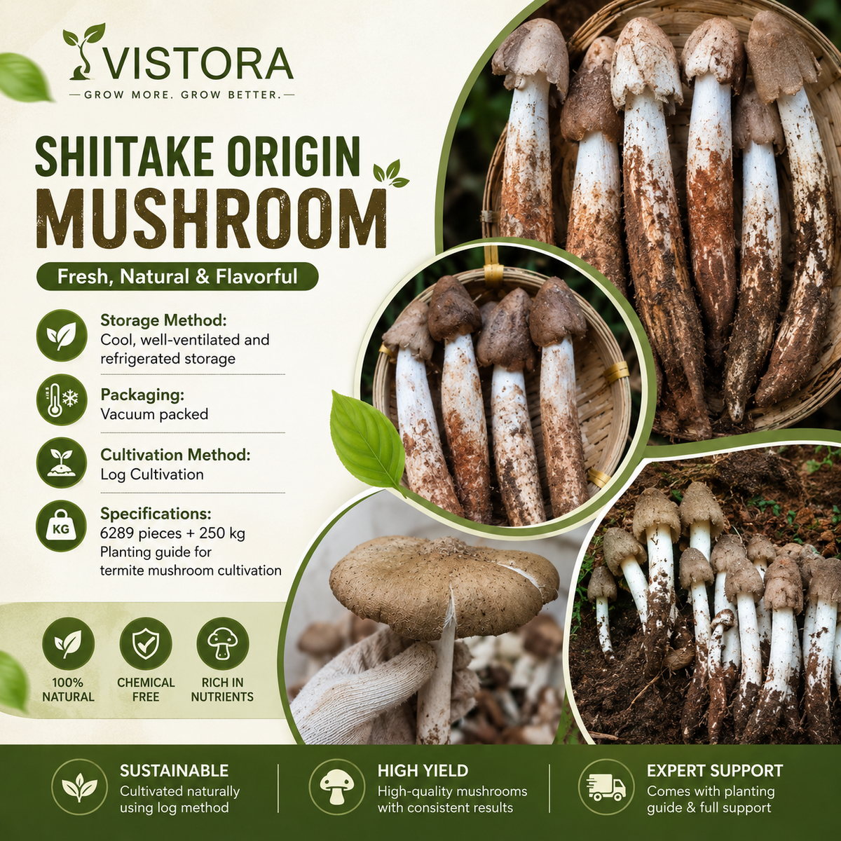 Premium Organic Mushroom Harvest Grow Kit Seeds – Pack of 500