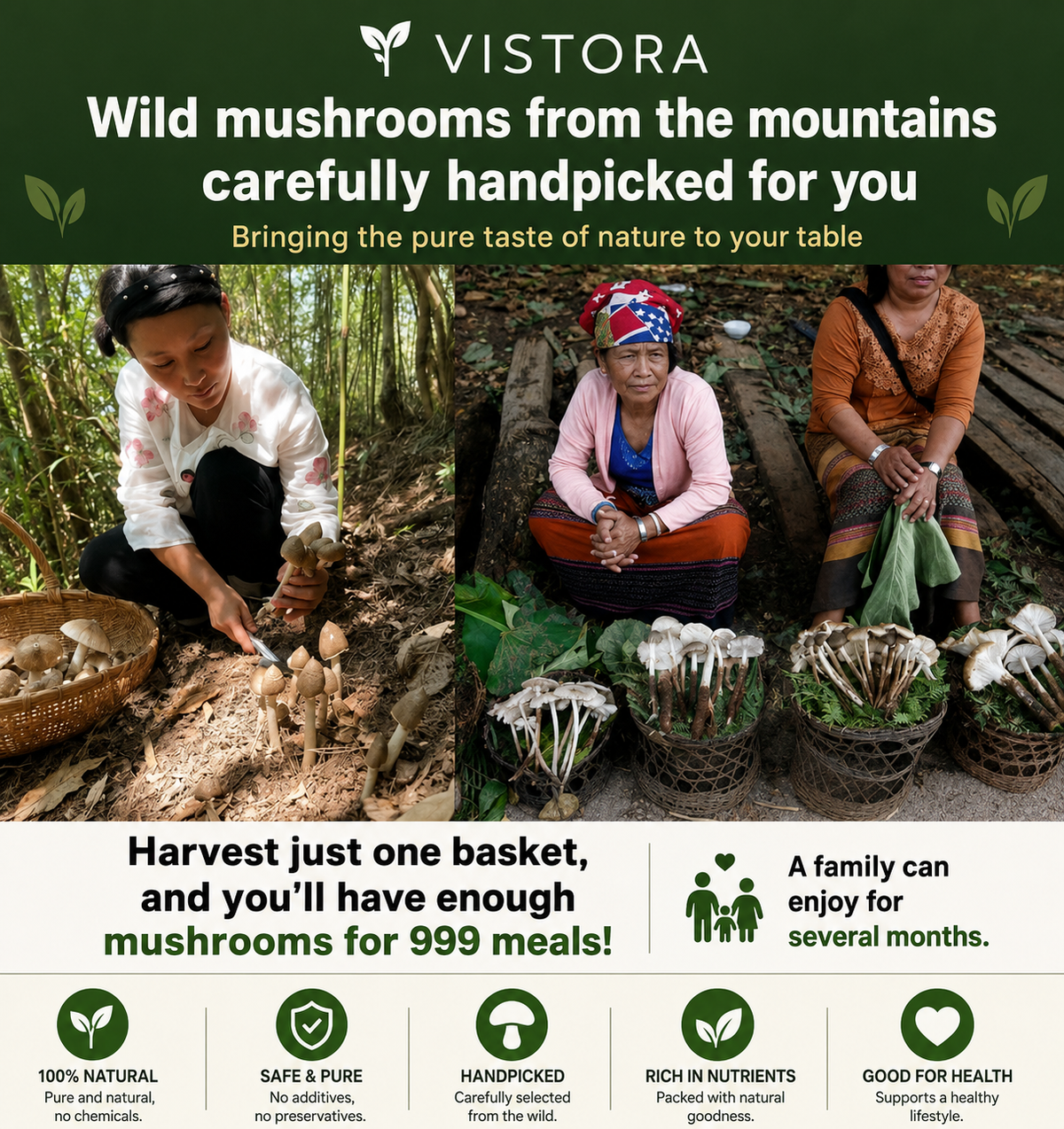 Premium Organic Mushroom Harvest Grow Kit Seeds – Pack of 500