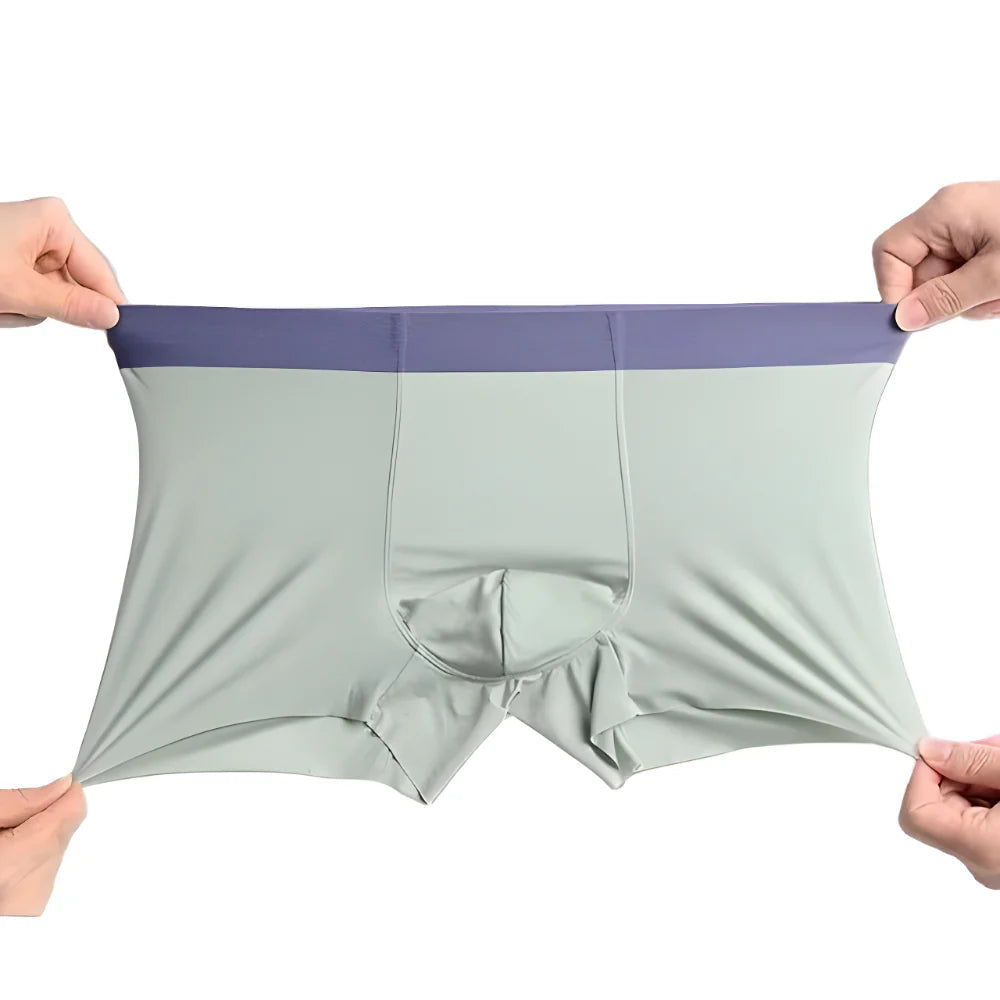 Ice Silk Boxer Briefs | Pack of 6