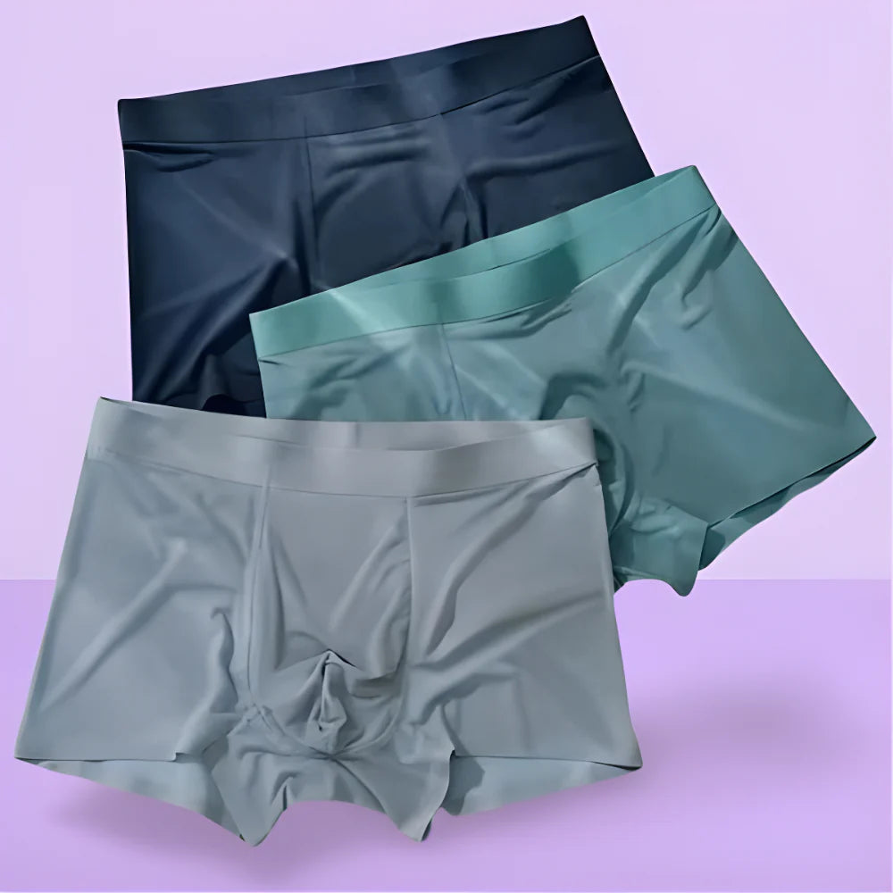Ice Silk Boxer Briefs | Pack of 6