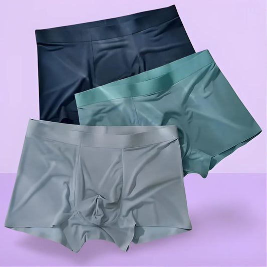 Ice Silk Boxer Briefs | Pack of 6